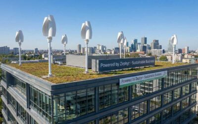 The Business & Sustainability Focus